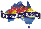 VF Siciliano & Sons Logo